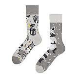 Dedoles Socken Unisex Damen Herren & Kinder Baumwolle viele lustige Designs 1 Paar Geschenk links rechts verschieden, Farbe Grau, Motiv Waschbär, Gr. 35-38