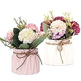Lostwry 2PCS Künstliche Blumen im Topf Kunstblumen Pflanzen zur Dekoration Hortensien Seidenblumen Blumensträuße mit Keramikvase Kunstpflanze deko für Home Party Büro Hochzeit Tischdekoration