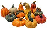 khevga Herbstdeko Zierkürbis Deko-Kürbisse aus Terracotta 12er Set