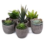 T4U 6er Set Mini Künstliche Sukkulenten Dekorative Kunstpflanze Bonsai mit Topf - für Hochzeit/Büro/Zuhause/Wohnung/Wohnzimmer/Badezimmer Dekoration