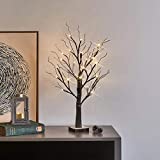 EAMBRITE LED Lichterbaum 60CM Lichterzweige 24 LEDs Leuchtzweige innen Schneebaum Batteriebetrieb Innendekoration Warmweiß für Weihnachten,Ostern, Hochzeit Geburtstag
