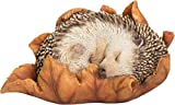 Vivid Arts Baby-Igel im Blatt, sehr detaillierte Dekoration für Haus oder Garten (XRL-HH09-F)