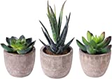 OUNONA 3er Set Mini Künstliche Sukkulenten Dekorative Kunstpflanze Bonsai mit Topf Künstliche Sukkulenten mit Blumentöpfen - für Hochzeit/Büro/Zuhause/Wohnung/Wohnzimmer/Badezimmer Dekoration