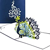 Pop Up Karte „Pfau – Pfauenfedern“ - Geburtstagskarte & Hochzeitskarte - edle Pfauen Glückwunschkarte, 3D Karten zu Hochzeit & Geburtstag - Einladungskarten mit Umschlag
