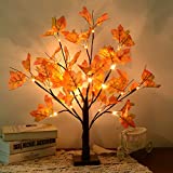 24 LEDs Ahornblatt Baum Licht, 50cm Schreibtisch Ahorn-Blätter (Herbst Deko) Baumlicht Warmweiß, Herbst Dekoration Blätter Lichterketten für Thanksgiving, Weihnachten, Innen Deko