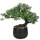 Oairse 25 cm Kunstpflanze Bonsai Baum im Keramiktopf Künstliche Pflanzen Aesthetic Japanische Bonsai Deko für Wohnzimmer Schlafzimmer Badzimmer Fensterbank Dekoration - Podocarpus Kunstbonsai