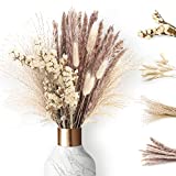 Natürlich Getrocknetes Pampasgras Set, Trockenblumen Deko , Dried Flowers Pampasgras Klein, Vase Für Pampasgras, Trockenblumen Eukalyptus Pampasgras 40cm, DIY-Dekoration für Home (Typ 1)