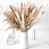 Pampasgras Getrocknet Deko, 85 Stück Natürliche Trockenblumen, Braun Weiß Getrocknete Natürliche Pampasgras Pflanzen Flauschige Trockenblumen für Blumen Arrangements Heim Decor, Wohnzimmer Dekoration