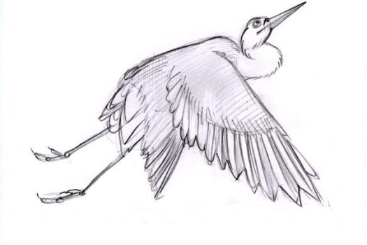 Storch zeichnen - einfach und schnell-dekoking-com-2