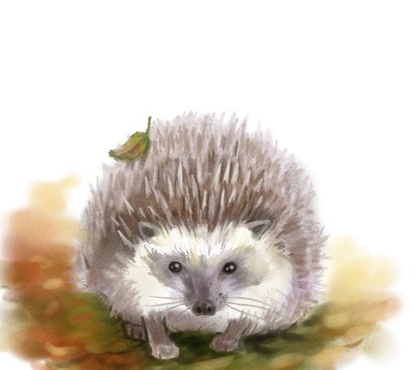 igel-malen-schritt-fuer-schritt-dekoking-com-3
