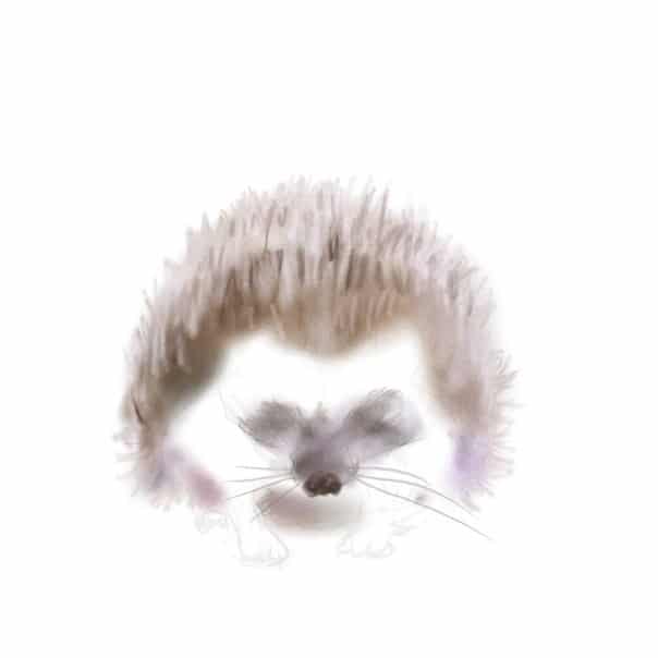 igel-malen-schritt-fuer-schritt-dekoking-com-4