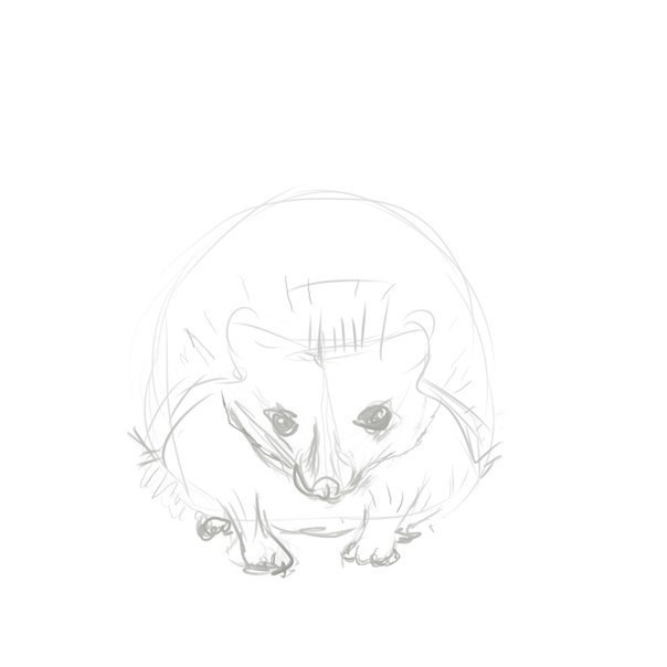 igel-malen-schritt-fuer-schritt-dekoking-com-5