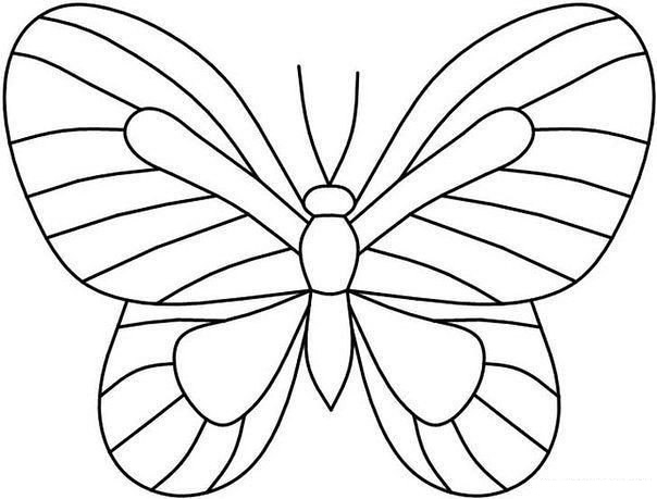 schmetterlinge-ausmalbilder-zum-ausdrucken-dekoking-com-3