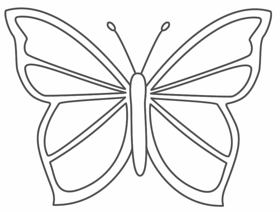 schmetterlinge-ausmalbilder-zum-ausdrucken-dekoking-com-6