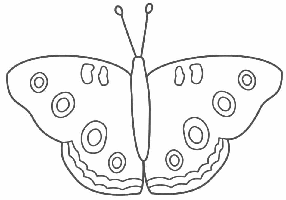 schmetterlinge-ausmalbilder-zum-ausdrucken-dekoking-com-7
