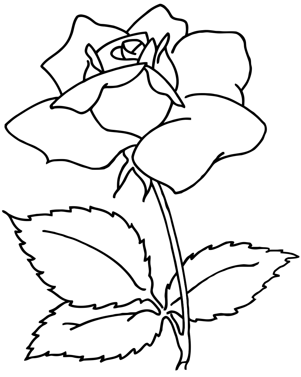 blumen-ausmalbilder-dekoking-com-1