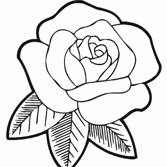 blumen-ausmalbilder-dekoking-com-4
