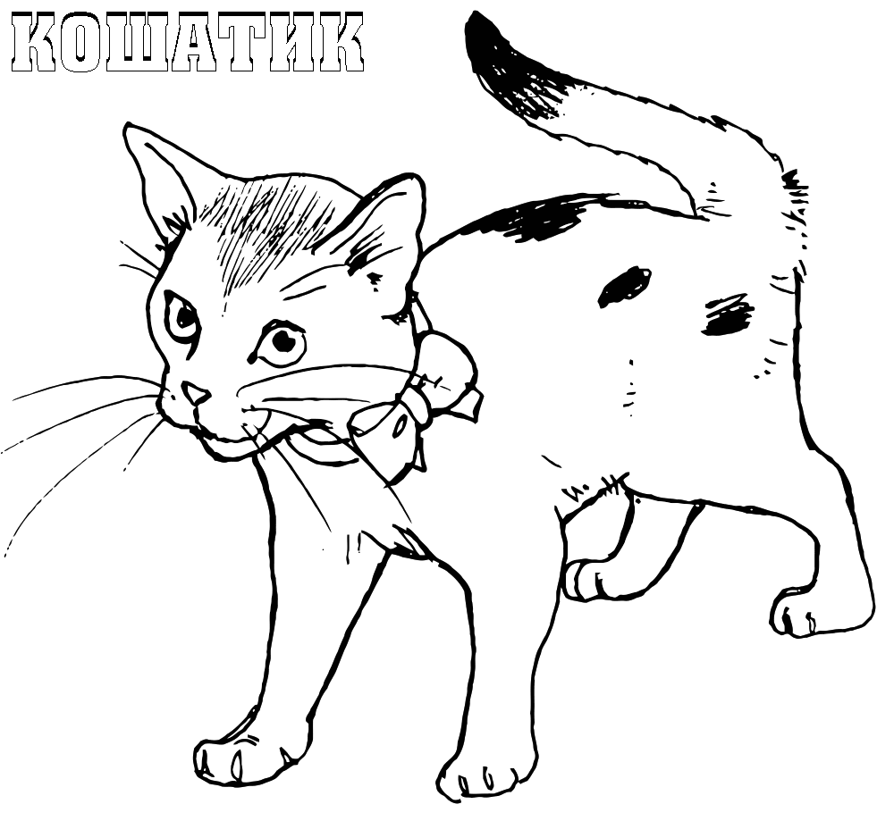katzen-ausmalbilder-dekoking-com-4