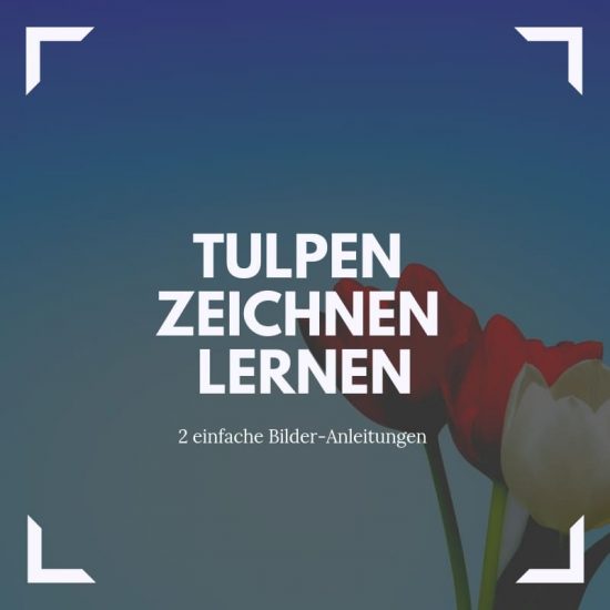 Tulpen selber zeichnen