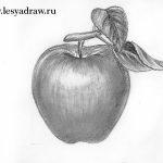 apfel-selber-zeichnen-dekoking-com