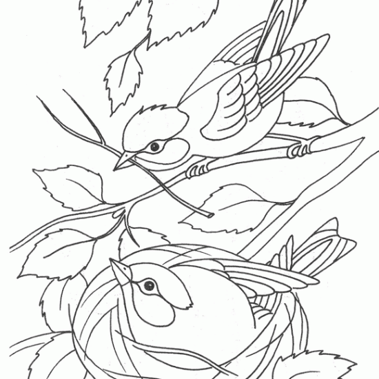 fruehling-ausmalbilder-zum-ausdrucken-dekoking-com-7