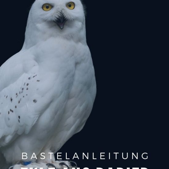 Eule aus Papier selber basteln