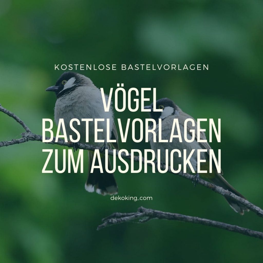 Bastelvorlagen Vögel