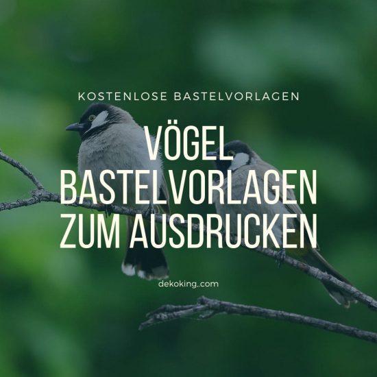 Bastelvorlagen Vögel