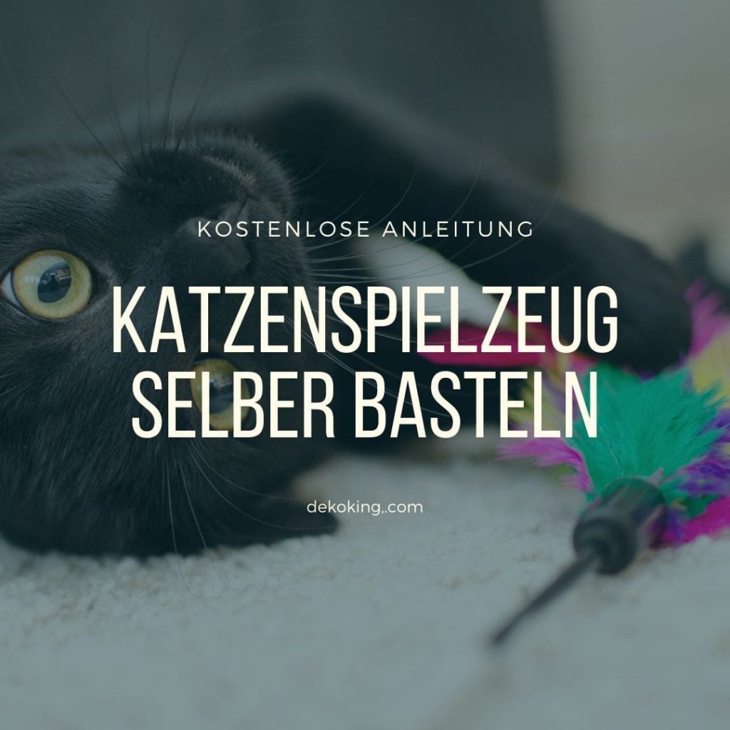 Katzenspielzeug
