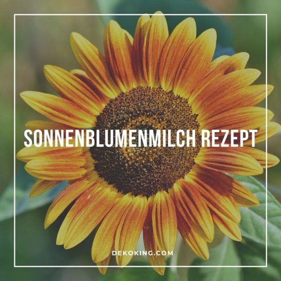 Sonnenblumenmilch Rezept