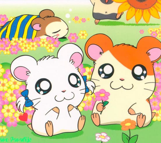 Wie man den Hamtaro Hamster zeichnet