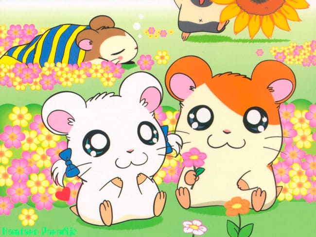 Wie man den Hamtaro Hamster zeichnet